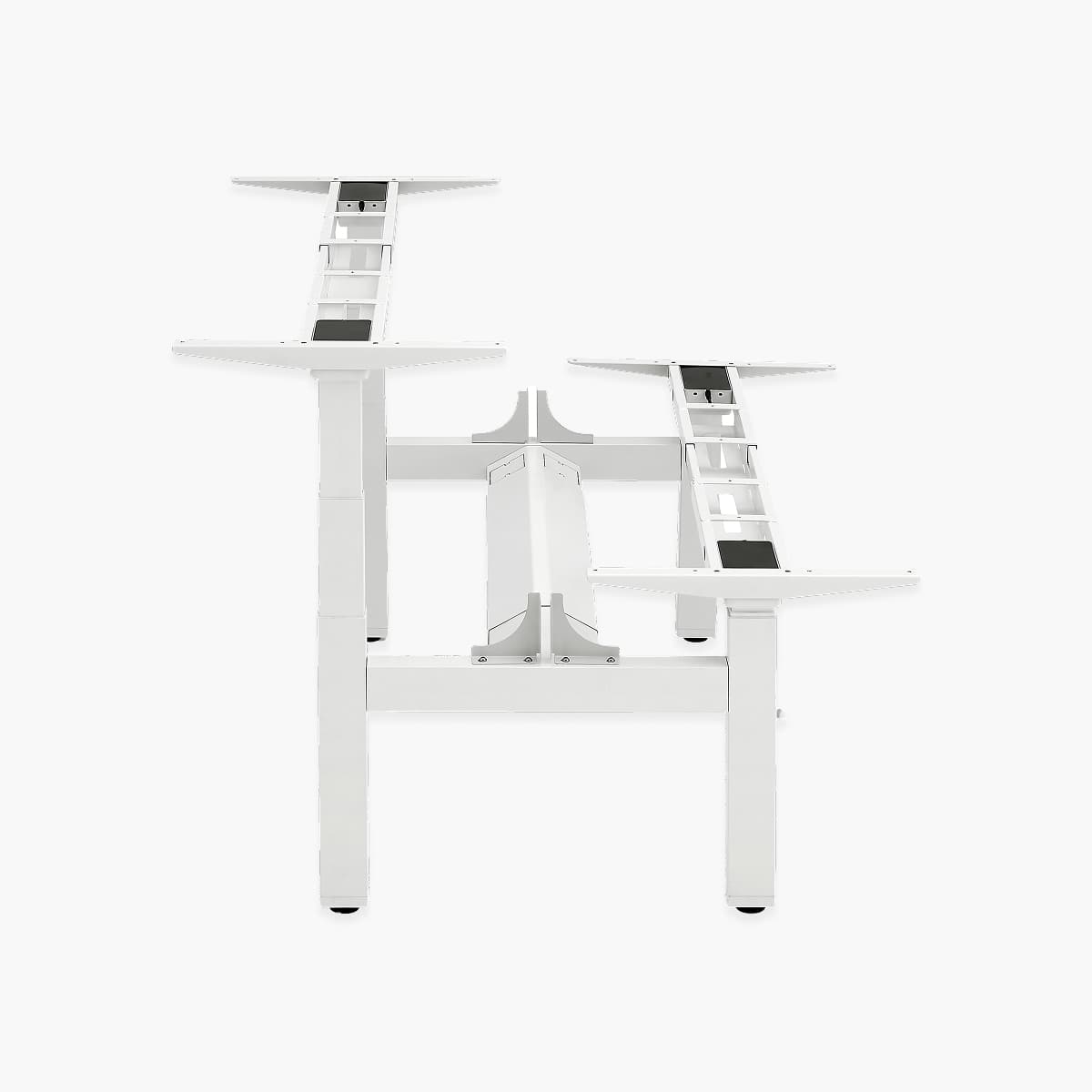 Dual-Station Electric Standing Desk Independent Height Control, Integrated Privacy Screen