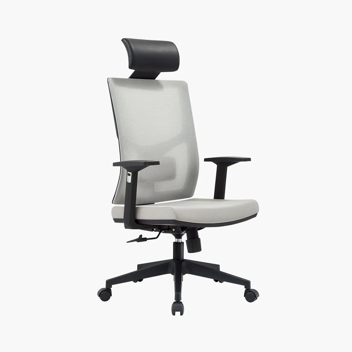 Ergonomic Office Chair with Stretchable Footrest, Multi-Function Infinite Tilt Lock