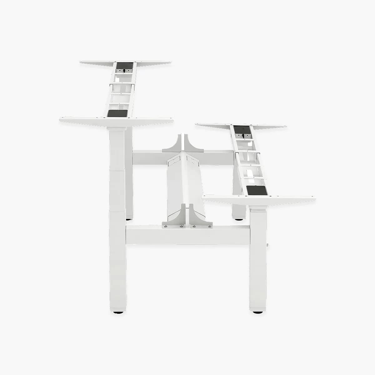 Dual-Station Electric Standing Desk Independent Height Control, Integrated Privacy Screen